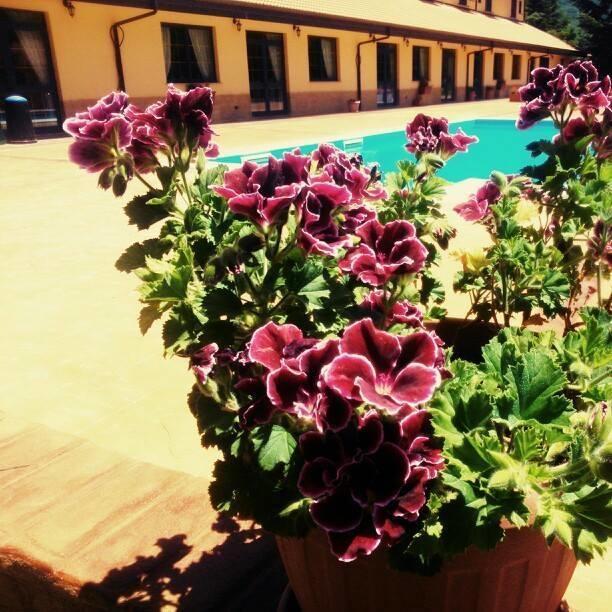 Del Riccio Hotel Martirano Eksteriør billede
